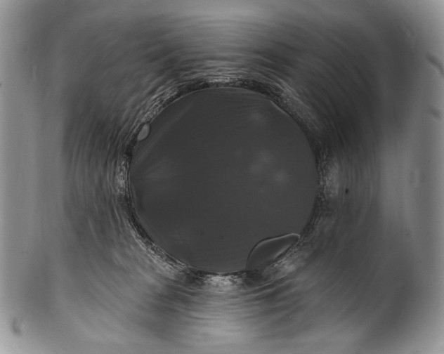 X0000100370277200806201635