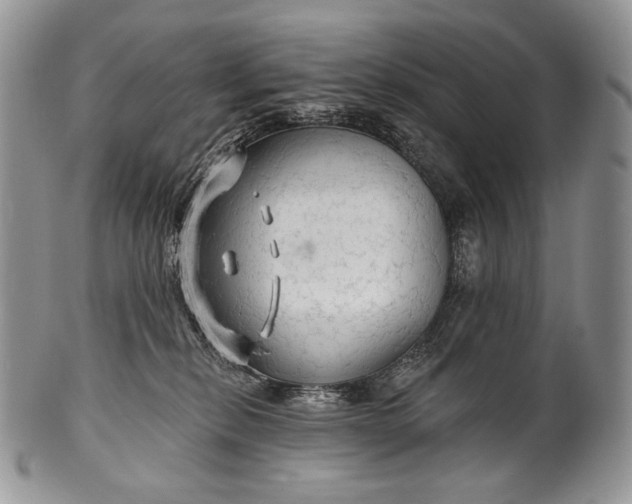 X0000100370278200806201635