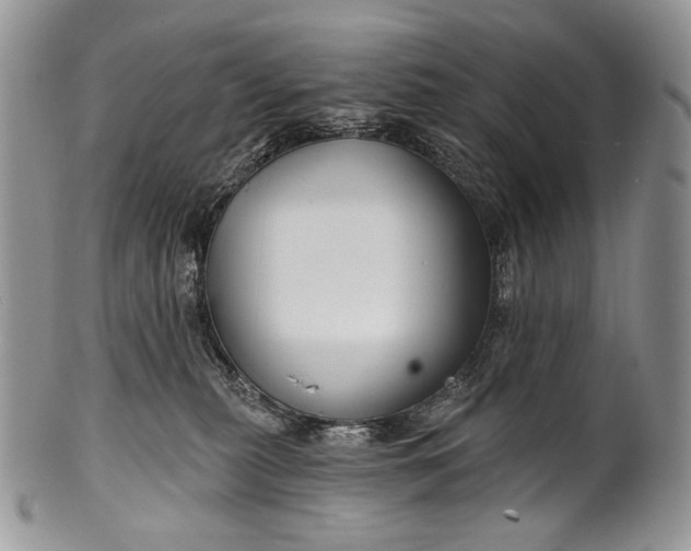 X0000100370279200806201635