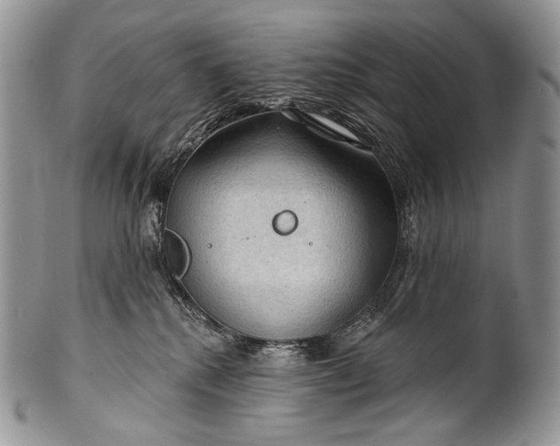 X0000100370280200806201635