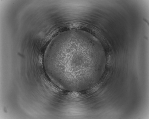 X0000100370282200806201635