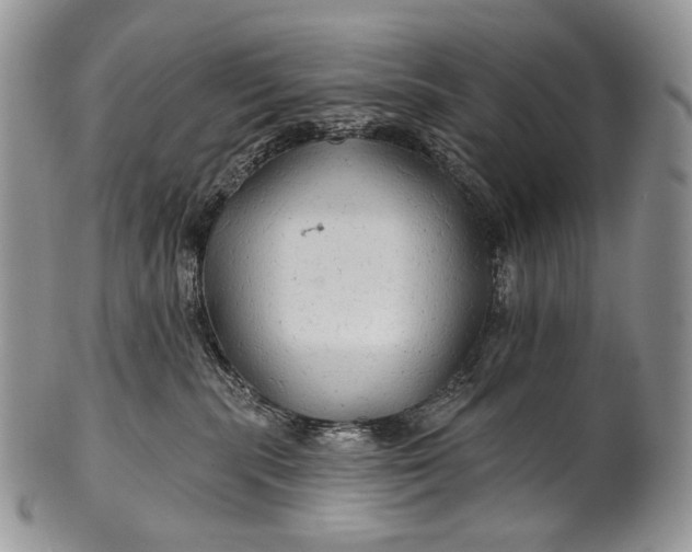 X0000100370283200806201635