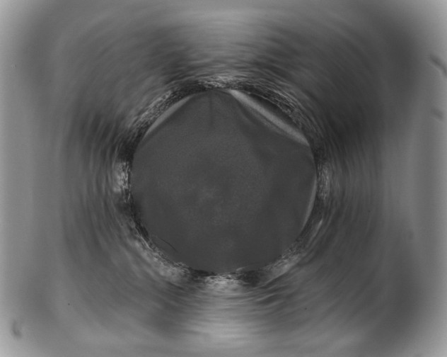 X0000100370284200806201635