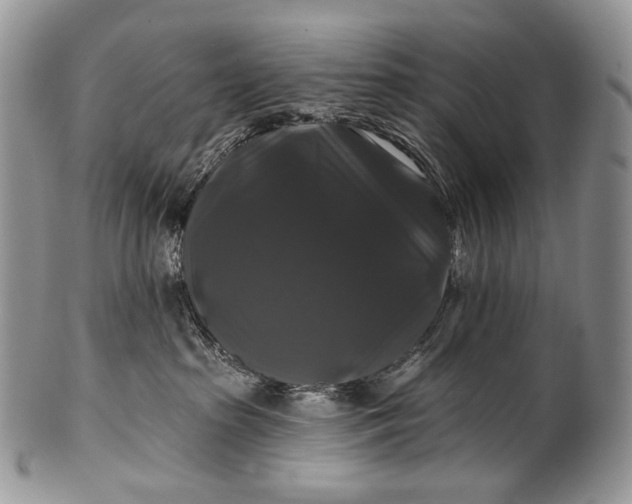 X0000100370285200806201635