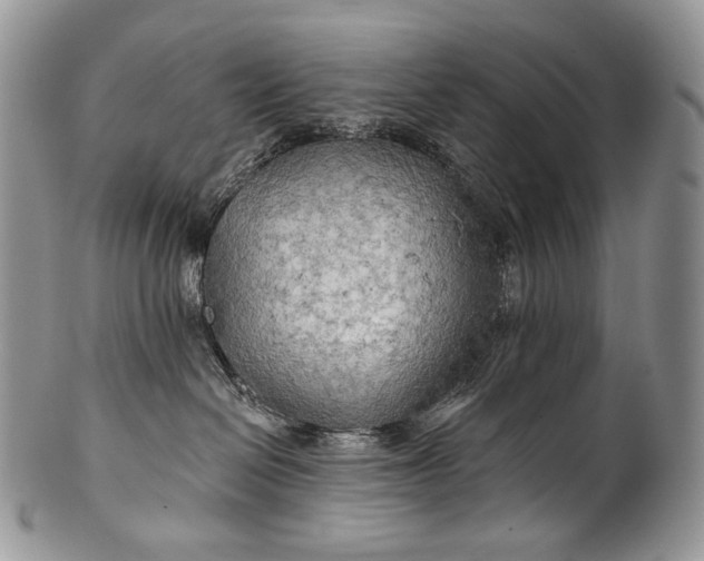 X0000100370286200806201635