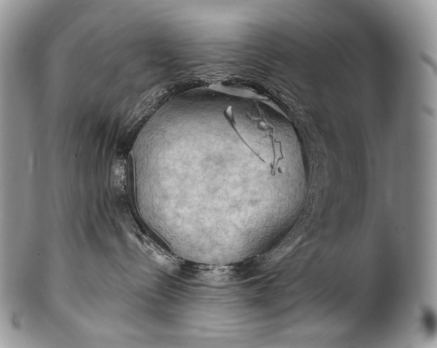 X0000100370288200806201635