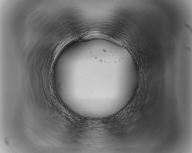 X0000100370289200806201634