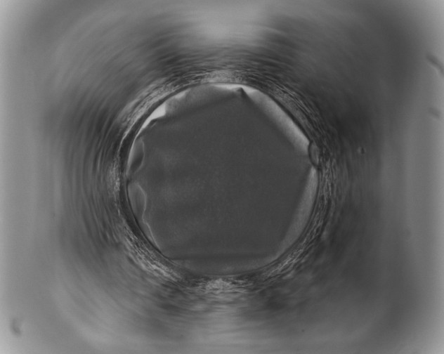 X0000100370290200806201634