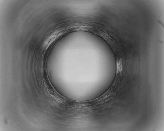 X0000100370291200806201634