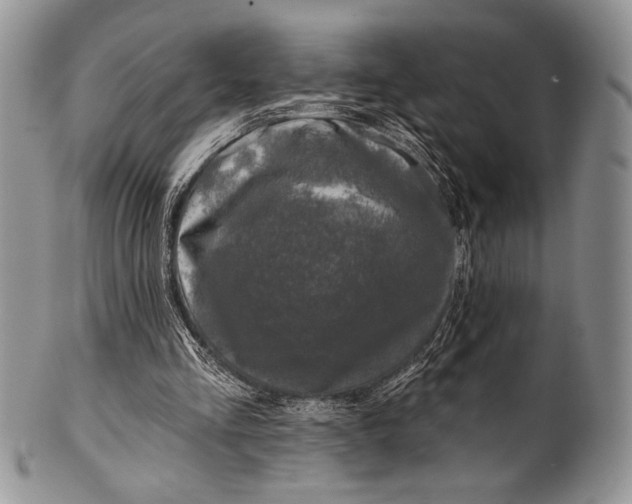 X0000100370293200806201634