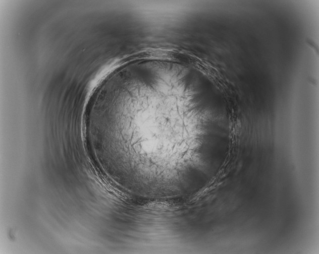 X0000100370294200806201634