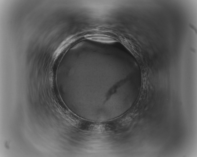 X0000100370295200806201634