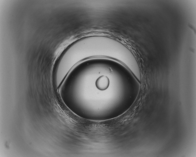 X0000100370296200806201634