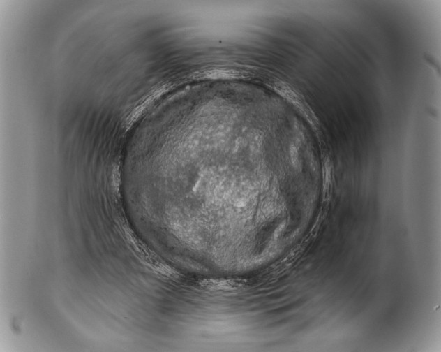 X0000100370297200806201634