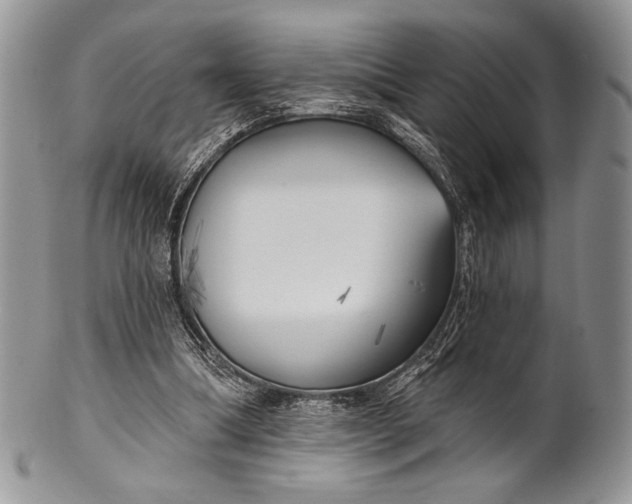 X0000100370298200806201634