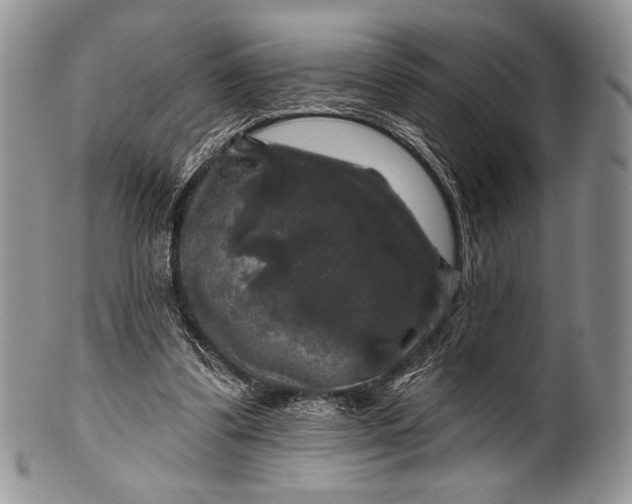 X0000100370299200806201634