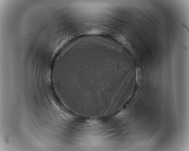 X0000100370300200806201634