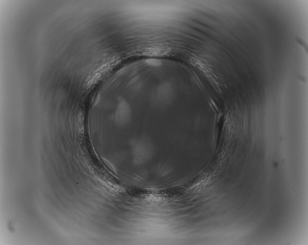 X0000100370303200806201634