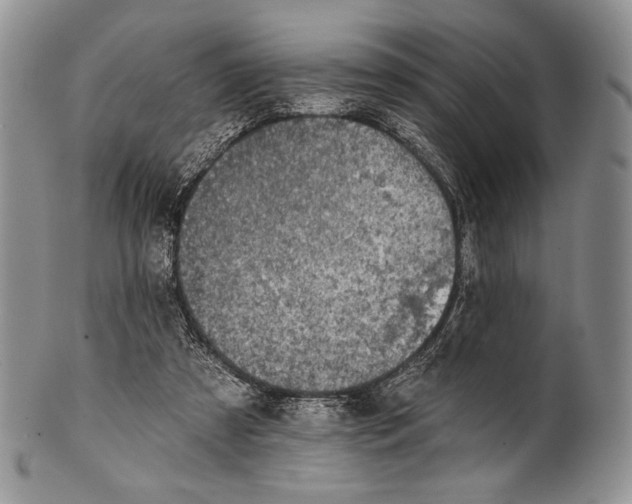 X0000100370305200806201634