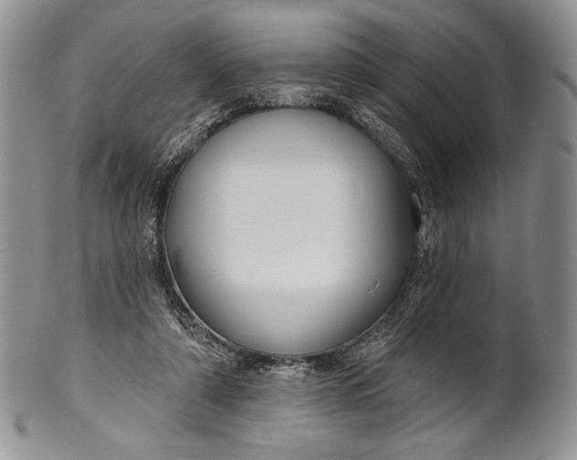 X0000100370306200806201634