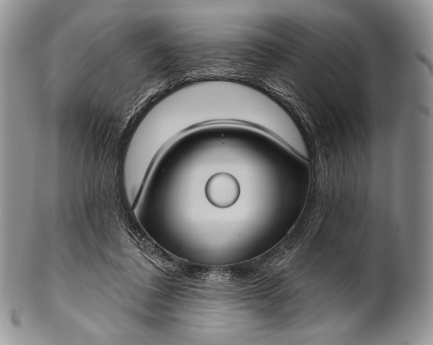 X0000100370308200806201634