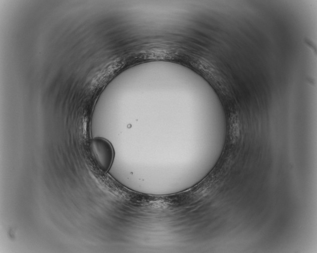 X0000100370310200806201634