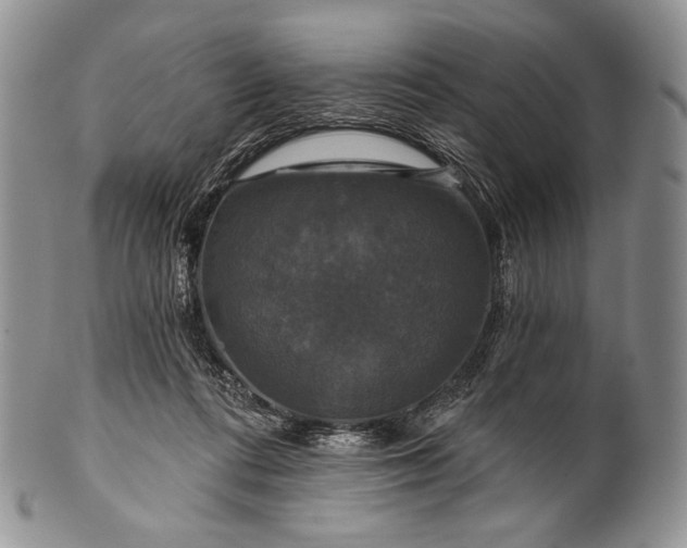 X0000100370312200806201634