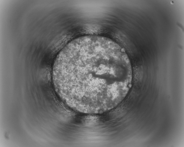 X0000100370313200806201634