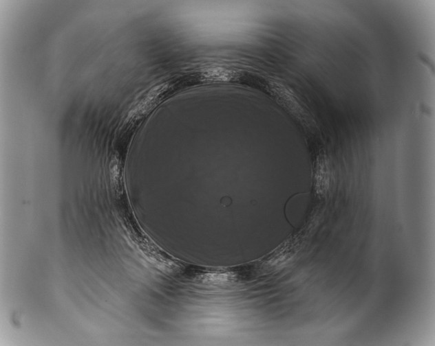 X0000100370314200806201634