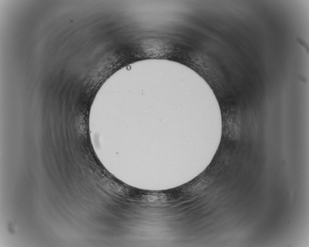 X0000100370317200806201634