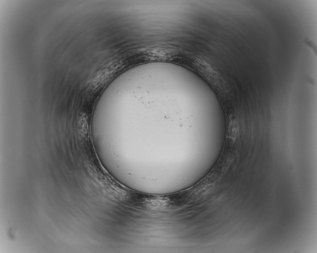 X0000100370318200806201634