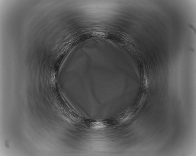 X0000100370320200806201634