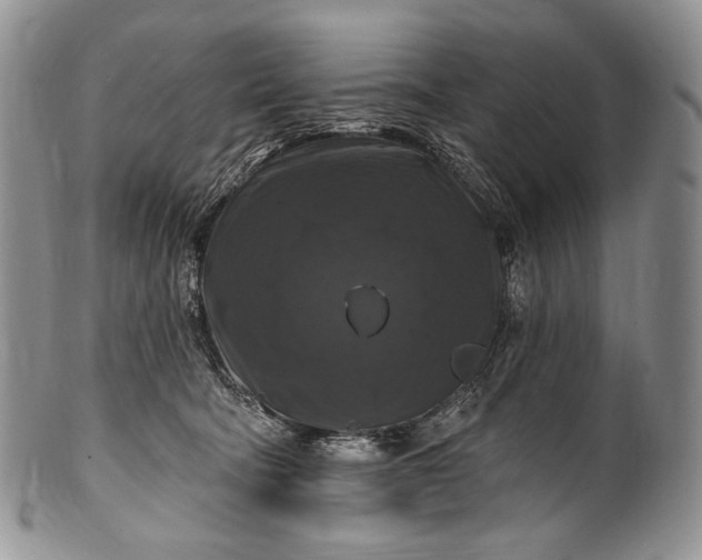 X0000100370322200806201634