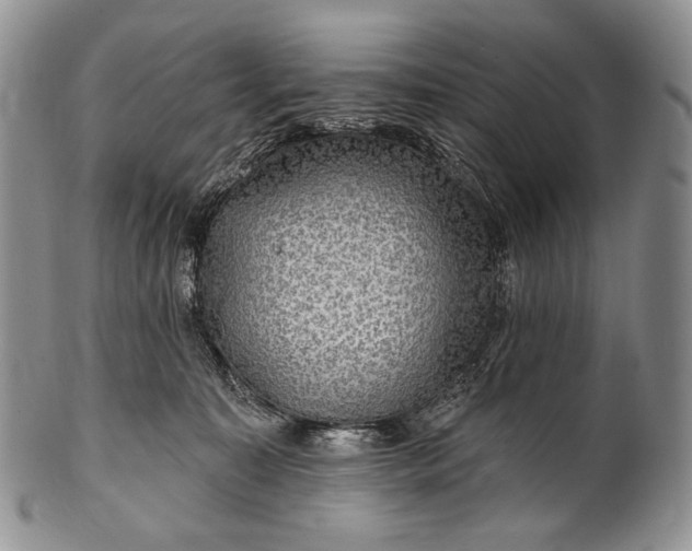 X0000100370323200806201634