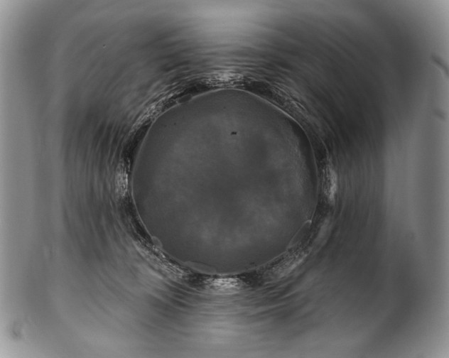 X0000100370324200806201634