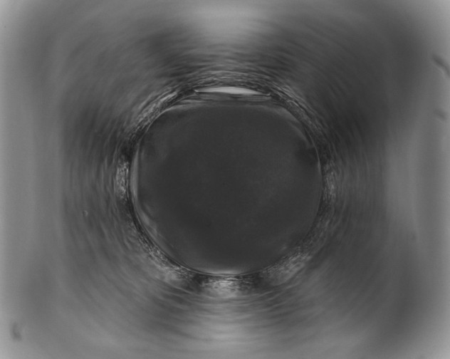 X0000100370325200806201634