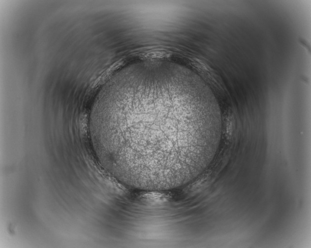 X0000100370326200806201634