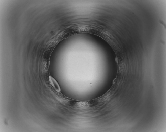 X0000100370327200806201634