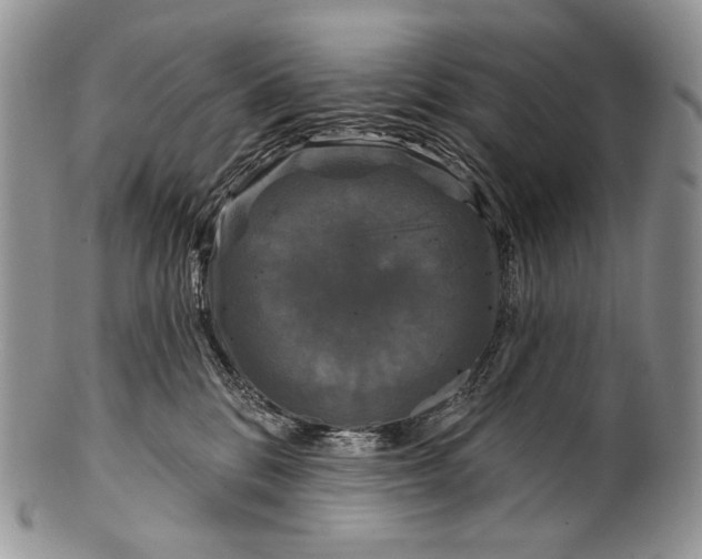 X0000100370328200806201634