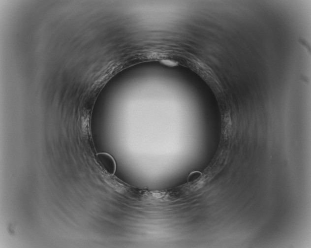 X0000100370329200806201634