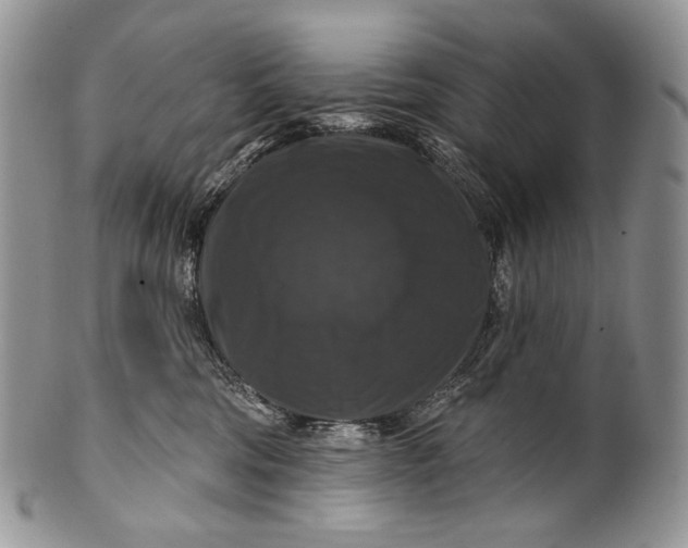 X0000100370330200806201634