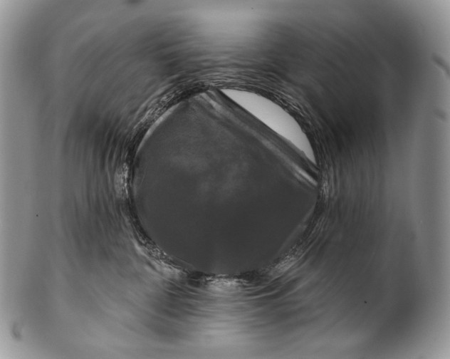 X0000100370332200806201634