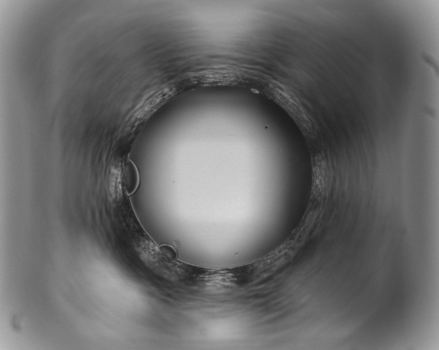 X0000100370333200806201633