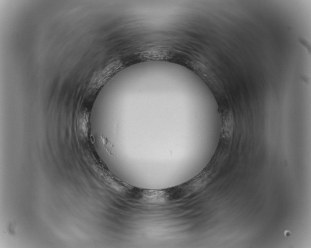 X0000100370334200806201633