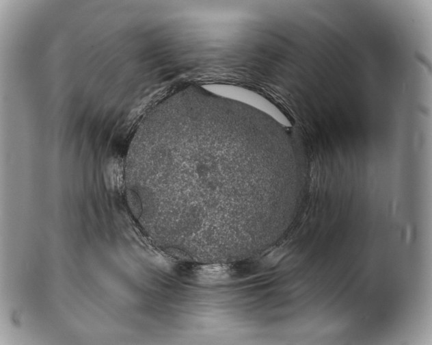 X0000100370335200806201633