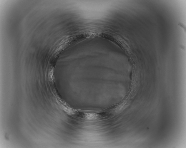 X0000100370336200806201633