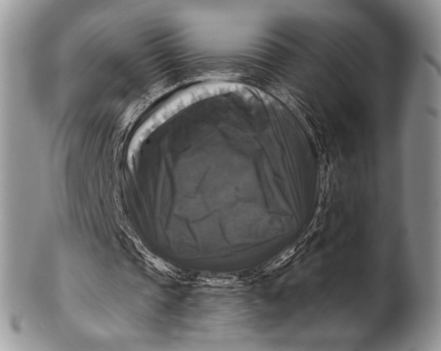 X0000100370337200806201633