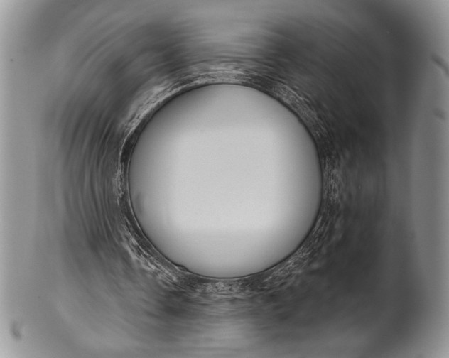 X0000100370338200806201633