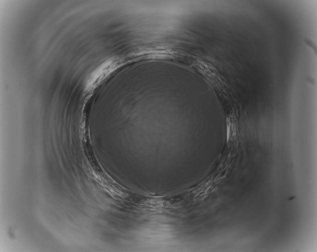 X0000100370339200806201633