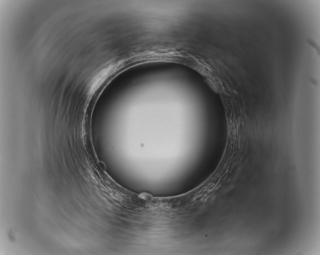 X0000100370340200806201633